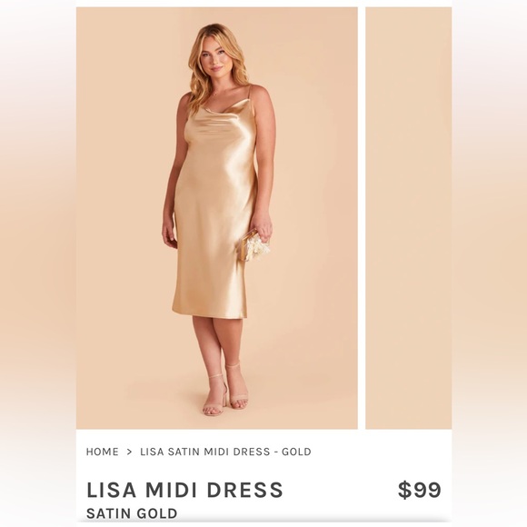 Lisa Satin Midi Dress. Birdy Grey. Size XL (12) NWT - Picture 1 of 7